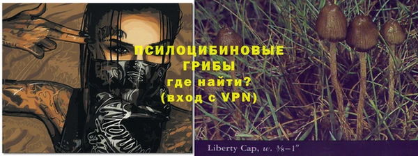 стафф Мегион