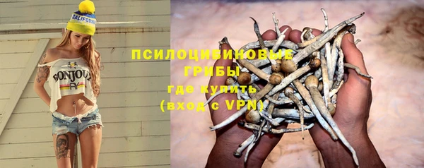 Альфа ПВП Лиски