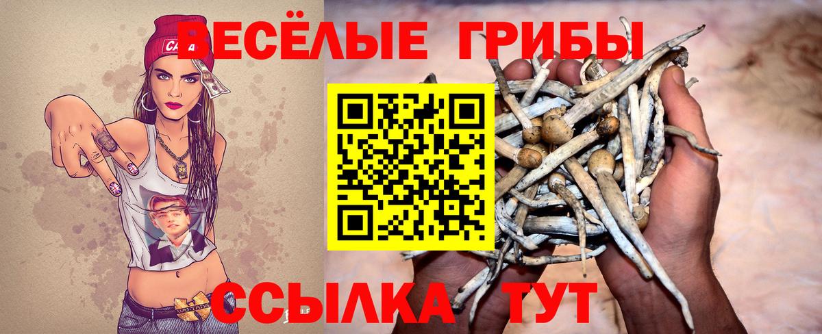 Псилоцибиновые грибы Cubensis  Вход с VPN  Сосновоборск 