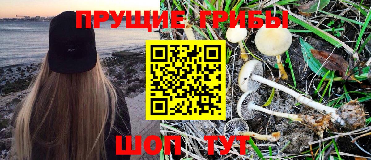 Галлюциногенные грибы мицелий  Сосновоборск 