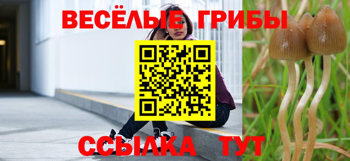 Псилоцибиновые грибы мухоморы Сосновоборск